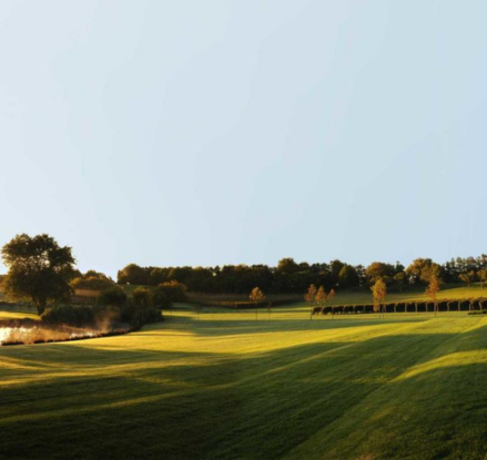 villa maria estate